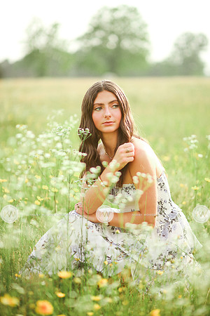 Addison-12