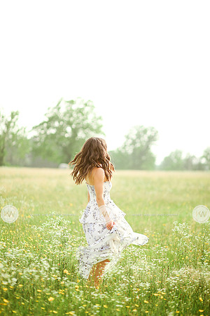 Addison-15