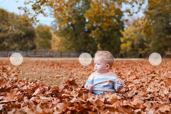 Asher-19