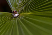 DESTINATION WEDDING SLIDESHOW