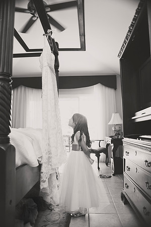 clark_240bw
