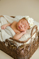 Addie-6