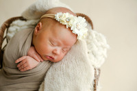 Addie-4