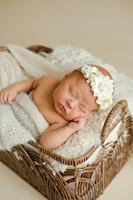 Addie-7