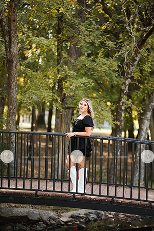 Savannah-4