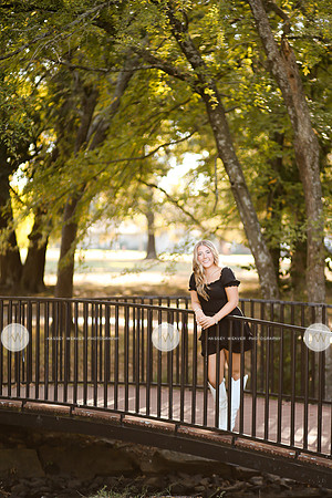 Savannah-1