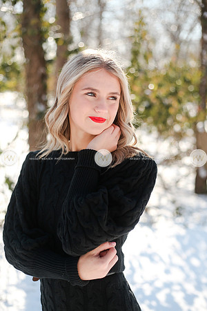 Snow22-141