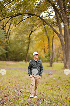 Wood-8