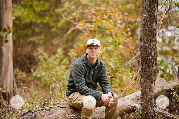 Wood-14