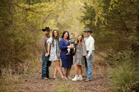Hodges-4
