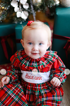 Dixie-2