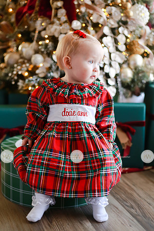 Dixie-19