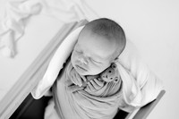 Wayden-11-2