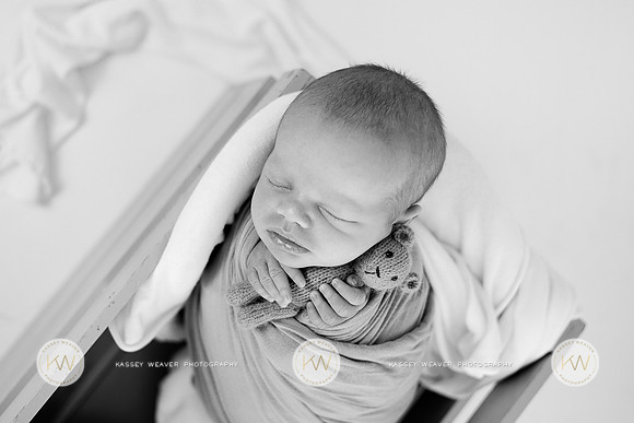Wayden-11-2