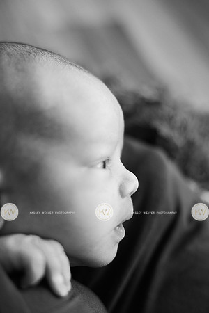 Wayden-27-2