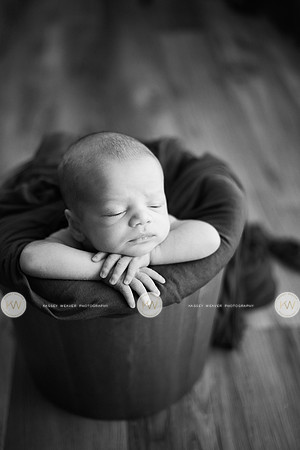 Wayden-32-2