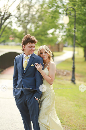 SHSProm26-14