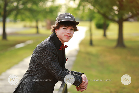 SHSProm26-70