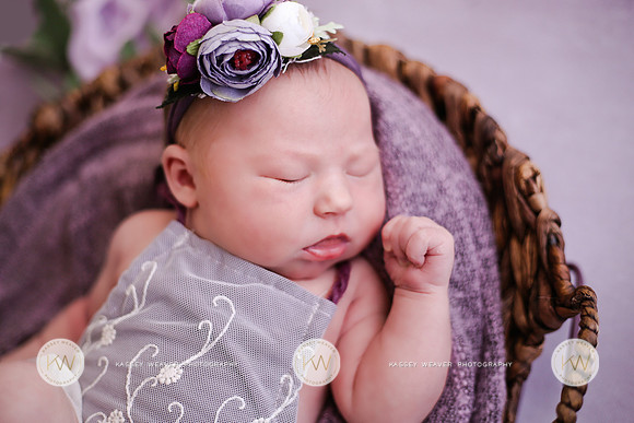 Sienna-2