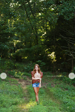 Brinlee-1