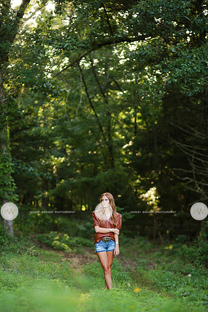 Brinlee-2