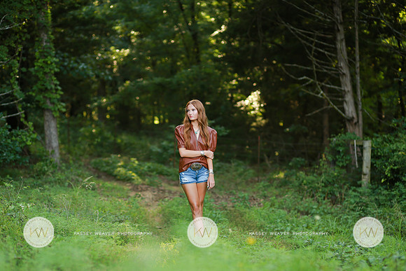 Brinlee-3