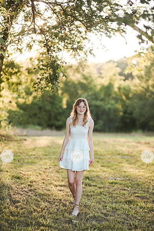 Garland-6
