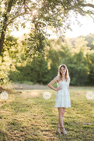 Garland-2