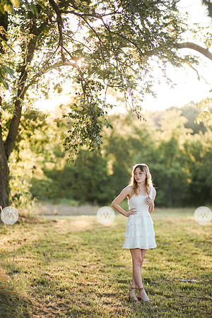 Garland-4
