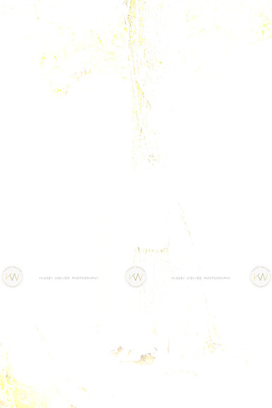 KWP_5663