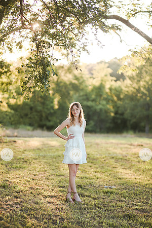 Garland-1