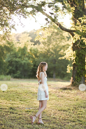 Garland-8