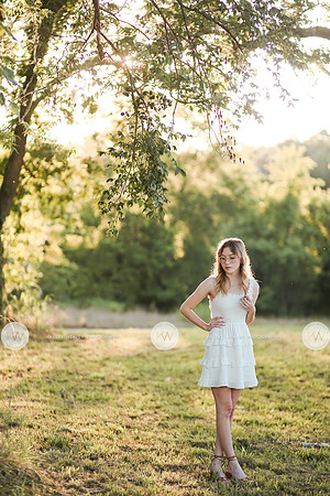 Garland-5