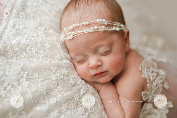 Hollyn-3
