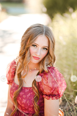 Bacon-48