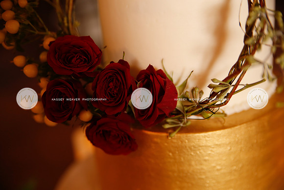 kasseyweaverphotography_ (161 of 79)