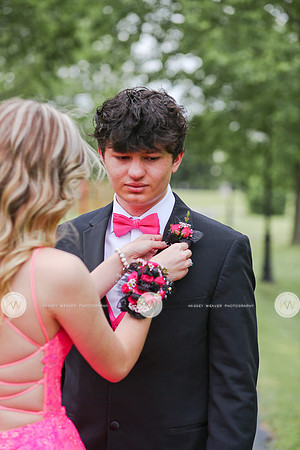 BGProm24-9
