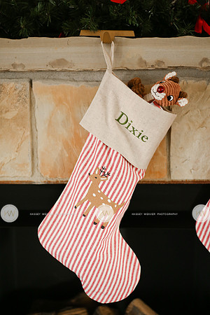 Dixie-6