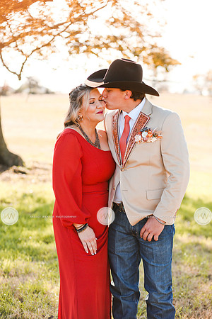 Dill-212