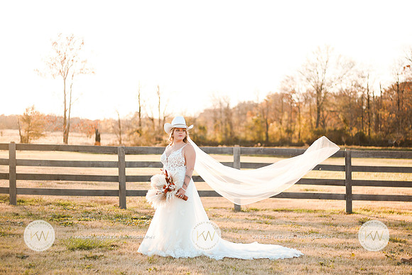 Dill-409