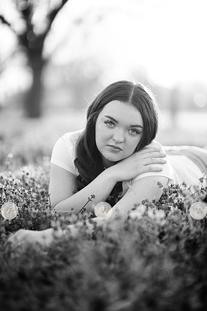 Cylee-37-2