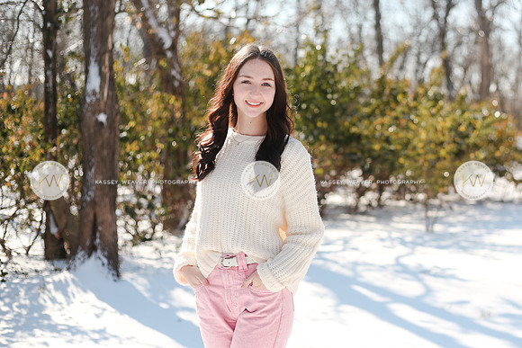 Snow22-130