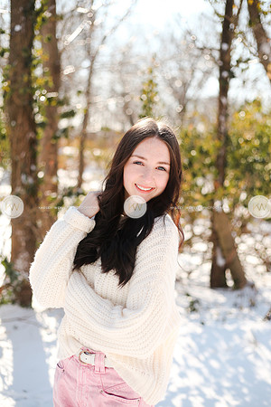 Snow22-143