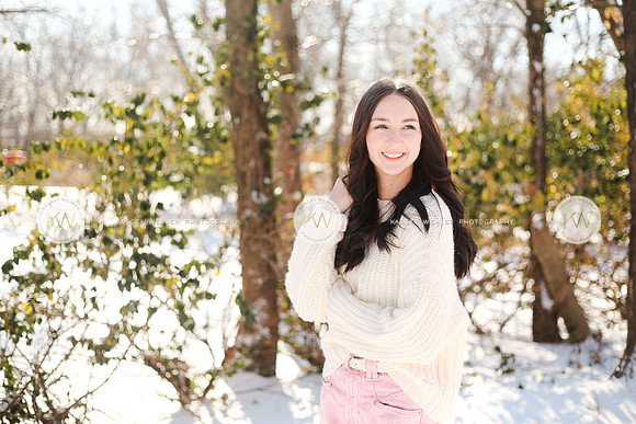 Snow22-145