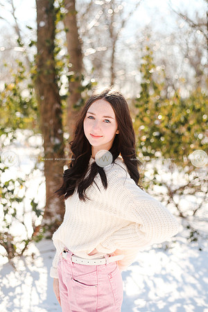 Snow22-146