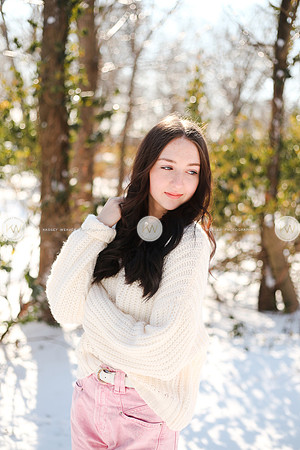 Snow22-144