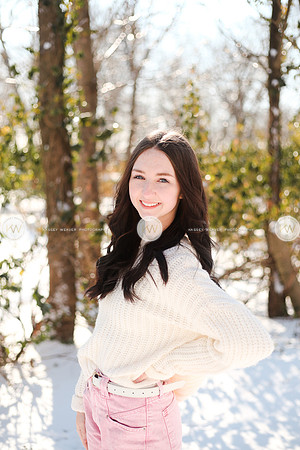 Snow22-147