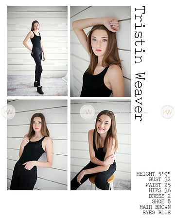 Tristin Model Card