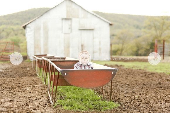 Sawyer-163