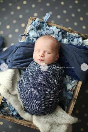 Wyatt-123